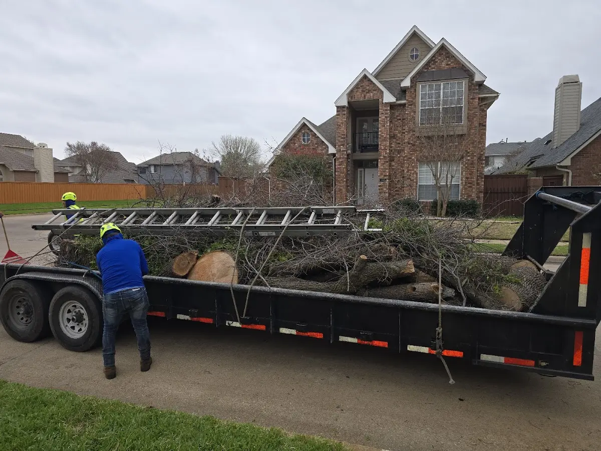 Expert Crown Reduction with proper safety equipment in Eagle Creek